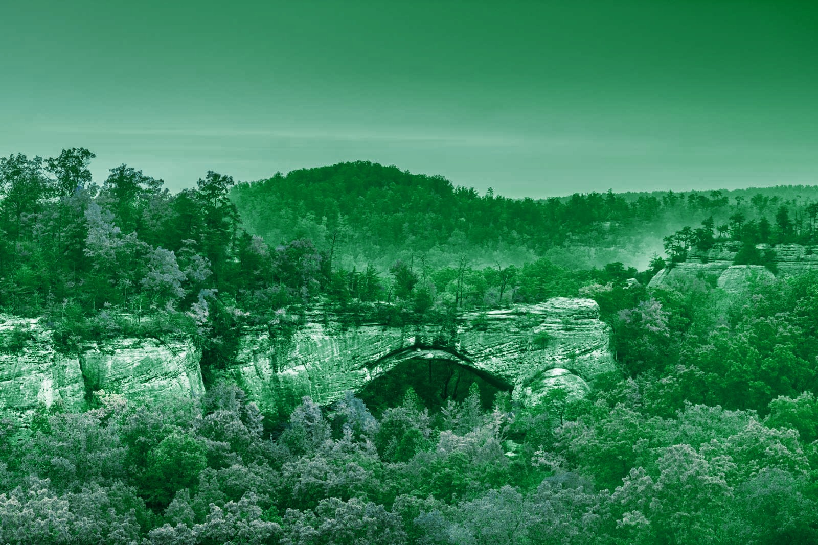 Nature green vivid
